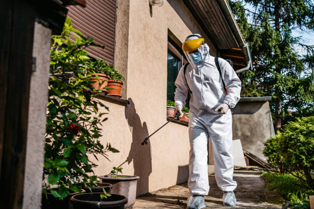 Best Flea Control Services  in West Carrollton, OH