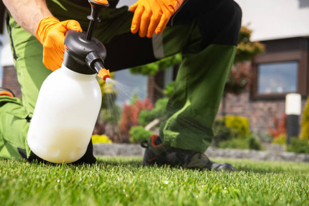 Best Pest Control for Homes  in West Carrollton, OH