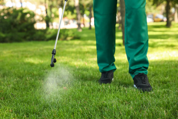 Best Pest Prevention Services  in West Carrollton, OH