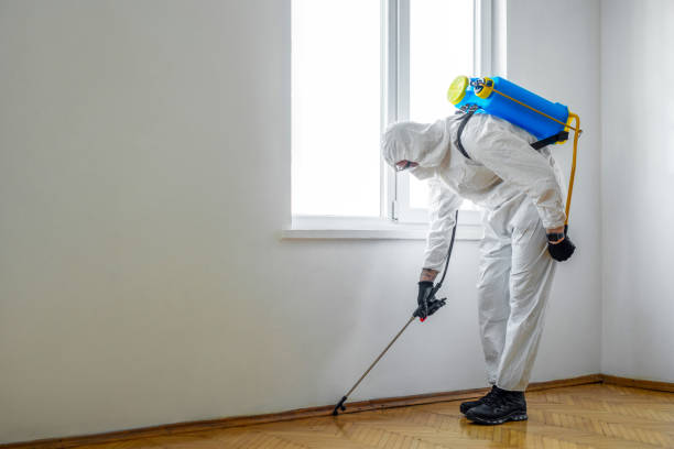 Pest Control Cost in West Carrollton, OH