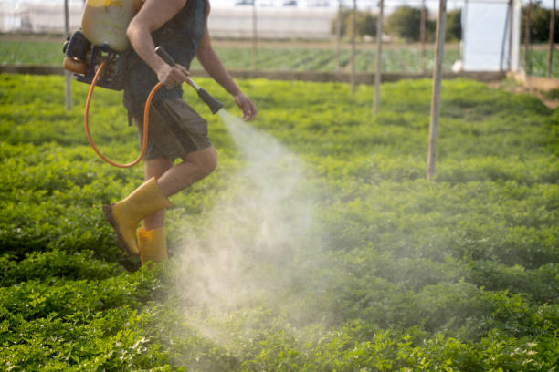 Best Pest Inspection Near Me  in West Carrollton, OH