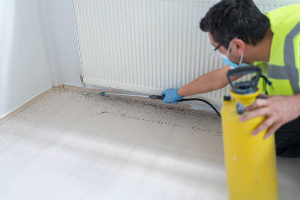 Best Pest Prevention Services  in West Carrollton, OH